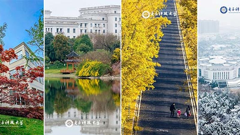 电子加工材质选择：揭秘影响性能的关键因素