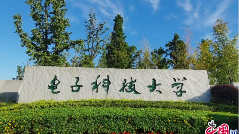 根据以上分析，以下是电阻十大品牌最新排名：